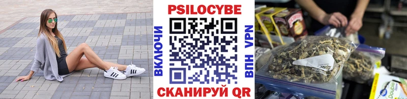 Псилоцибиновые грибы мицелий  что такое наркотик  Киржач 